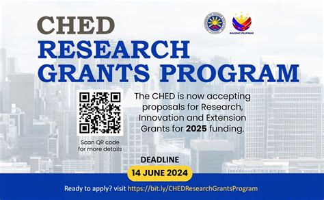 DD2 Research Grant 2024 .